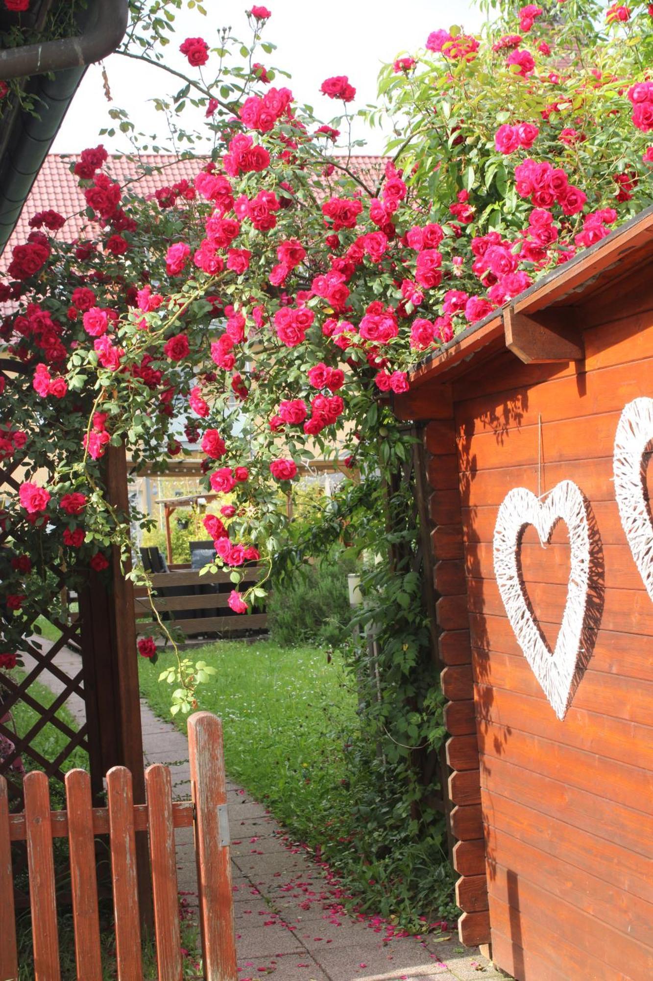 Apartmenthaus Wertheim Luaran gambar